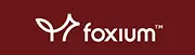 logo foxium-logo-18114.webp